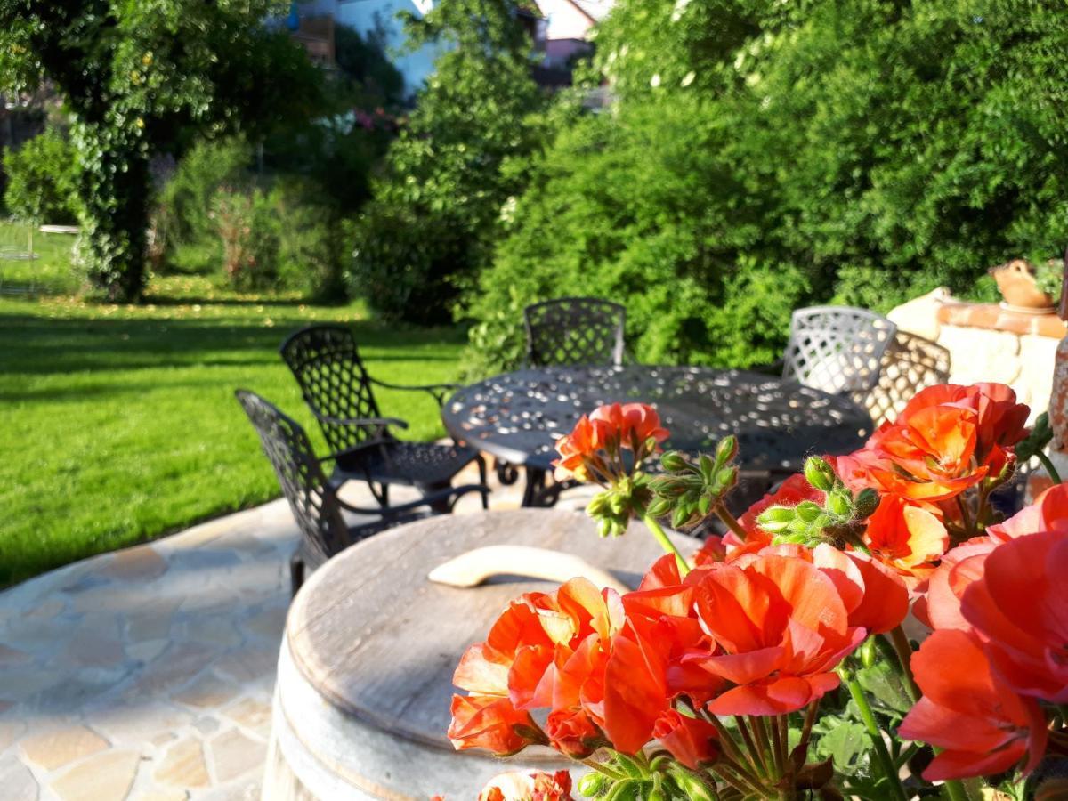 Pension Am Weinberg Bed & Breakfast Mainstockheim Ngoại thất bức ảnh